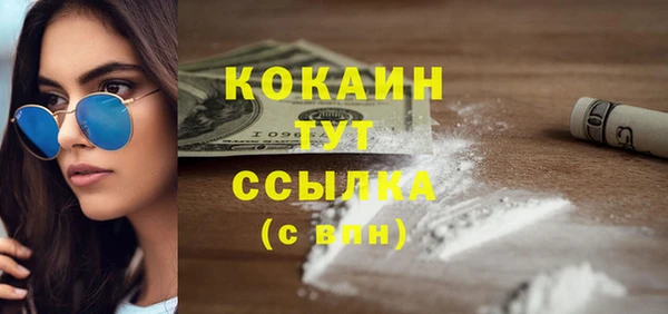гидра Аркадак