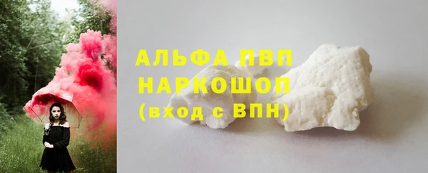 гидра Аркадак